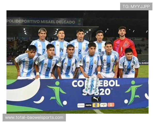 阿根廷球星深入分析足球比赛技巧与战术演绎 阿根廷球星深入分析足球比赛技巧与战术演绎